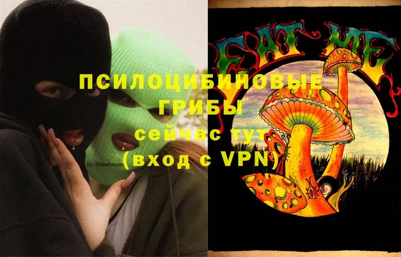 Псилоцибиновые грибы Cubensis  hydra как войти  Межгорье 